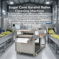 Dubbellaagse commerciële suikerrietwasmachine, suikerrietwas- en reinigingsmachine, suikerrietreiniger