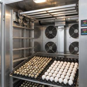 Incubateur d'œufs de caille 1000 places ou incubateur d'œufs de poule 400 places entièrement automatique, <span class=keywords><strong>prix</strong></span> usine - Product Image 3