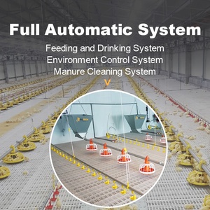 Sistema <span class=keywords><strong>de</strong></span> Línea <span class=keywords><strong>de</strong></span> Alimentación Totalmente Automático, Comedero <span class=keywords><strong>de</strong></span> Bandeja, Bebedero <span class=keywords><strong>de</strong></span> Tetina, Equipo <span class=keywords><strong>de</strong></span> Avicultura para Productos <span class=keywords><strong>de</strong></span> Pollo <span class=keywords><strong>de</strong></span> Engorde - Product Image 2