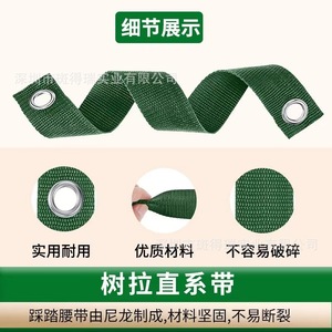 Correas de fijación a prueba de viento para árboles, hebillas con ojales, correas de fijación para exteriores, paquetes de extensión de carga multifuncionales y - Product Image 5