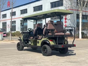 Voiturette de golf électrique 6 places à <span class=keywords><strong>prix</strong></span> d'usine, 4 roues motrices, buggy de club à <span class=keywords><strong>prix</strong></span> abordable, voiturettes de golf électriques - Product Image 5