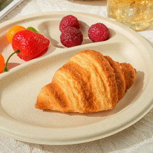 Plaques de bagasse de canne à sucre jetables rectangulaires à 5 compartiments micro-ondable sulfurisé avec plateau à 5 compartiments pour le camping - Product Image 3