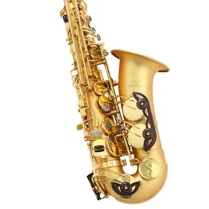 Equipaje de alta calidad juego completo de accesorios saxofón alto de latón de alta calidad precio al por mayor profesional