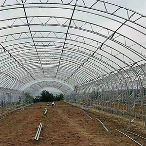 बड़े हाइड्रोपोनिक कृषि ग्रीनहाउस बहु-अवधि स्टील और प्लास्टिक फिल्म सुरंग वनस्पति बीजों के लिए टिकाऊ धातु फ्रेम - Product Image 2