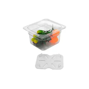Unbreakable NSF Certificated Plastic PC 1/6 polycarbonate food pan storage transport