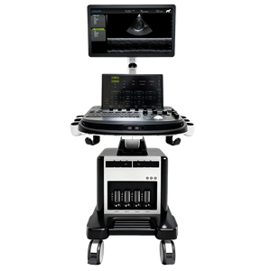Máquina de Ultrasonido Portátil Veterinaria Dawei, <span class=keywords><strong>Precio</strong></span> de la Máquina de Ultrasonido para Animales - Product Image 5