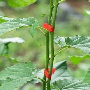 CINTA para TIE PLUNGER 11x26mm Color verde Producto de plástico agrícola - Product Image 2