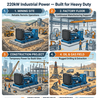 Groupe électrogène diesel 220 kW 400 V pour usine et exploitation minière, démarrage électrique, faible consommation de carburant, CE ISO