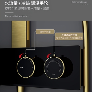 Brass <b>Shower</b> Head Set XL-085 Linear Top Spray With Knob Control For Bathroom Use - Product Image 3