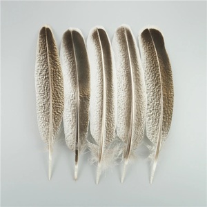 Lote de 10 Plumas de Águila Naturales para Manualidades, Accesorios para Tocados, Decoración Festiva, Plumas de Carnaval, Decoración DIY - Product Image 2