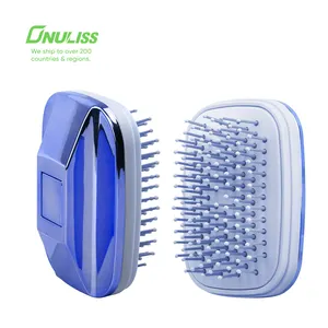 Professional Enhanced Ionic Hair Straightening Brush Mini Air Cushion Massager Brush Airbag Comb Brushes With Mirror Set