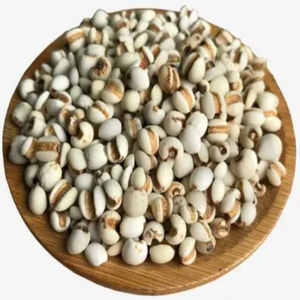 Poudre d'extrait de graines de <span class=keywords><strong>Coix</strong></span> de qualité alimentaire GMP standard de haute qualité emballée dans un tambour extrait par solvant - Product Image 6