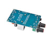 TPA3116 Carte d'amplificateur de caisson de basses TPA3116D2 Amplificateurs audio 100W DC12-24V de sortie basse