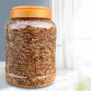 大量輸出乾燥ミールワーム、粗タンパク質50% + 、カスタム包装オプション卸売 - Product Image 4