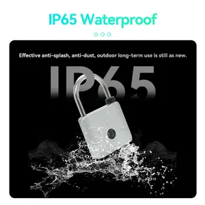 Hot Sale Tuya App IP65 Waterproof Biometric Finger Print Pad Lock Usb Chargeable Digital Fingerprint Padlock For Gym Locker