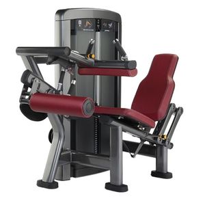Machine d'extension et de flexion des jambes 2 en 1, conception mécanique pure, sans composants électroniques, évite les défaillances de circuit pour une utilisation prolongée. - Product Image 1