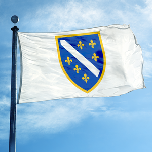 <span class=keywords><strong>Bandera</strong></span> <span class=keywords><strong>de</strong></span> <span class=keywords><strong>Bosnia</strong></span> y Herzegovina <span class=keywords><strong>de</strong></span> 3x5 pies, escudo <span class=keywords><strong>de</strong></span> armas bosniano, <span class=keywords><strong>bandera</strong></span> <span class=keywords><strong>de</strong></span> poliéster <span class=keywords><strong>de</strong></span> doble cara para exteriores, para decoración patriótica - Product Image 1