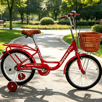 Vélo de ville rouge 20 pouces pour femme avec panier et porte-bagages arrière pour les trajets quotidiens et le shopping – Offre spéciale