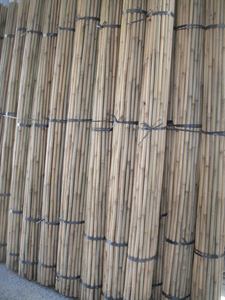 Materiali Grezzi in Legno Naturale e Prodotti in Bambù all'Ingrosso |   Forniture Agricole Premium - Product Image 6