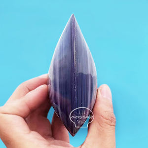 Concha <span class=keywords><strong>de</strong></span> Almeja Natural <span class=keywords><strong>de</strong></span> Color Brillante, Concha <span class=keywords><strong>de</strong></span> Almeja Morada <span class=keywords><strong>de</strong></span> Doble Capa, Venta al por Mayor <span class=keywords><strong>de</strong></span> Artesanías para Exhibición en Ventanas - Product Image 6
