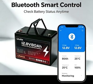 Paquete de Baterías Lifepo4 de 25.6V 300Ah 7.68kWh con BMS JBD de 200A para Almacenamiento de Energía en el Hogar, Energía Solar Fuera de la Red, Respaldo - Product Image 3