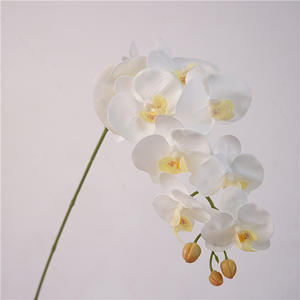 Bunga anggrek kupu-kupu anggrek <span class=keywords><strong>Phalaenopsis</strong></span>, dekorasi rumah pernikahan H-573 9 Kepala dan 6 kepala dilapisi lateks sentuhan asli - Product Image 5