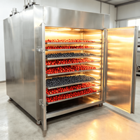 Industriële voedseldroger met grote capaciteit (20kg/uur), 304 roestvrij staal, PLC & motor, geschikt voor mango, banaan, fruit en groente verwerking