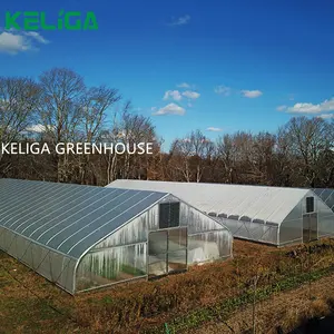 Tunnel Automatic Blackout Plastic Greenhouse Greenhouses