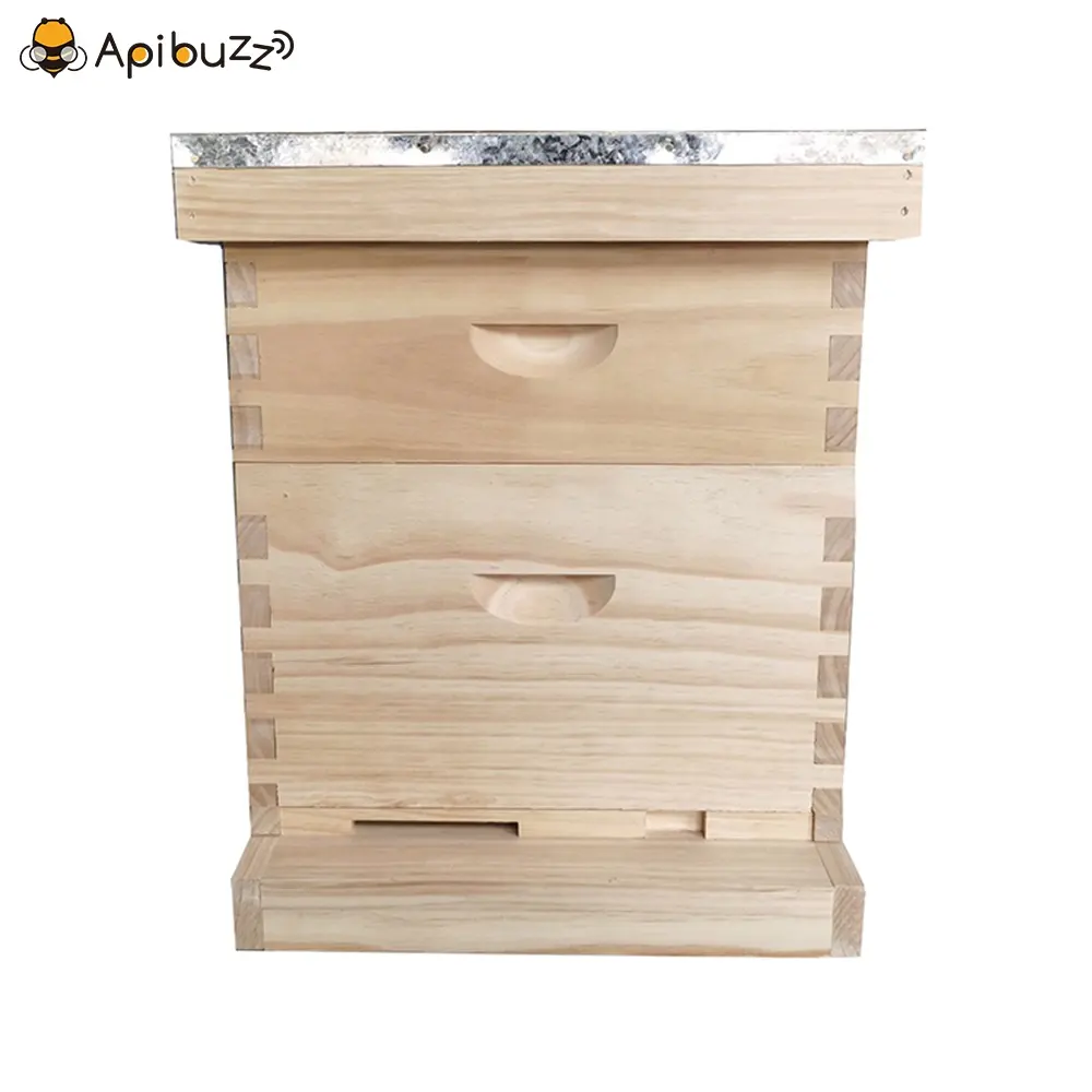 Apicultura de abelha de madeira de cerdas, equipamento de abelha colmeia de abelha com 2 camadas de 10 moldura