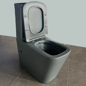 Douche Wc Bidet In Toilet Combo Sanitair Vintage Wasruimte Indoor Wash Down Tweedelige Toilette Keramische Tank Dual Spoelventiel