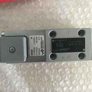 Réducteur Wandfluh Bvspm18-350 Sdspm22-Ab-G24 Bsspm18-160 Mvspm18-160 Mvspm22-350 Aurdb6 - Product Image 1