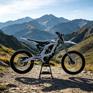 Moteur Surron Light 2 32Hp optimisé pour la performance, couple de roue de 410 Nm, moto de course professionnelle, puissance et performance 24kW Mid-Dr - Product Image 4