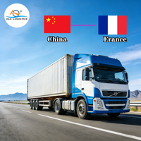 Agent d'expédition professionnel France Europe Services de transport routier DDP Livraison porte-à-porte Rapide et fiable Fret routier transfrontalier