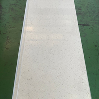 Feuilles de surface solides acryliques pures Corians Staron de 6mm 12mm 20mm Pmma 100%