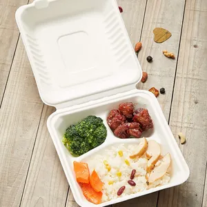 Eco biodegradabile cibo da asporto imballaggio Pizza Bento Lunch bagassa contenitore a conchiglia per alimenti