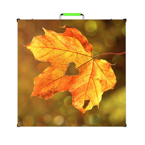 Módulo de Pantalla LED de Alquiler P5 P6 P8 P10, Panel LED a Todo Color de Instalación Rápida para Interiores y Exteriores - Product Image 5