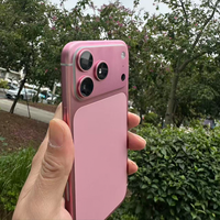 DIY OEM Vente en gros Populaire Dubaï Cadre arrière de téléphone de luxe coloré Électroplaqué Boîtier de téléphone pour iPhone 17 Pro Max