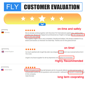 Shenzhen FLY Air <span class=keywords><strong>Sea</strong></span> Freight Forwarder Envío DDU DDP Servicio <span class=keywords><strong>China</strong></span> a América Europa EE. UU. Canadá Reino Unido Alemania Italia Países Bajos - Product Image 5