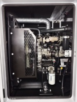 Générateur Industriel Puissant 110KVA 88KW pour Alimentation de Secours Stamford Generador à Vendre Guangzhou