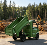 Camions de fret homologués EEC COC, nouvelle énergie, tracteur de fret électrique 3500W, mini-voitures électriques à quatre roues, vitesse de 45 km/h