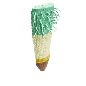 Modèle de structure de racine de maïs ; outil pédagogique pour l'enseignement de l'anatomie des racines des plantes monocotylédones. - Product Image 5