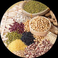 Machine d'emballage et de remplissage entièrement automatique pour aliments, riz, haricots, granulés, avec fonction d'emballage pour sacs en plastique PE PP recyclé