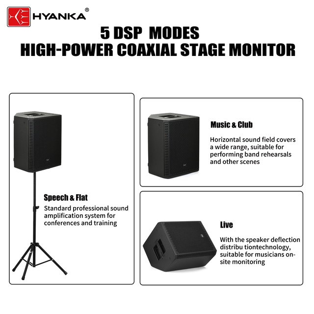 HYANKE B-12 Class D Powered Speaker 12 Inch Wooden Coaxial Home Theater Speaker 400W RMS for Music Stage Monitor Speaker