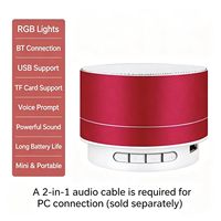 Mini-enceinte portable en métal 5.0 avec lumière RGB, lecteur audio sans fil, micro intégré, prise en charge TF et USB pour fêtes et activités en extérieur