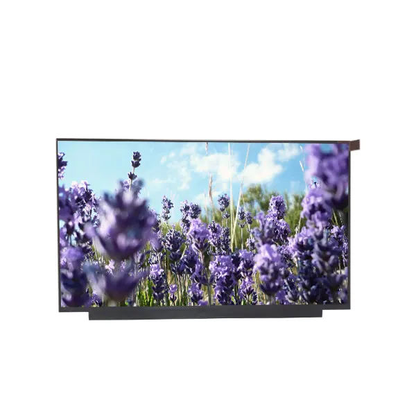 15.6 inch LCD Touch Panel Display laptop lcd NT156WHM-T02