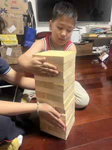 Juego de Bloques de Construcción de Madera Educativos con Dados <span class=keywords><strong>y</strong></span> Dominós - 40 Piezas con Temática de Animales <span class=keywords><strong>y</strong></span> Naturaleza para la Enseñanza - Product Image 3