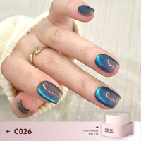 Gel magnétique œil de chat Youth Rose 30 couleurs avec pinceaux pour nail art, super brillant, à retirer par trempage, compatible UV LED, fournitures de vernis à ongles