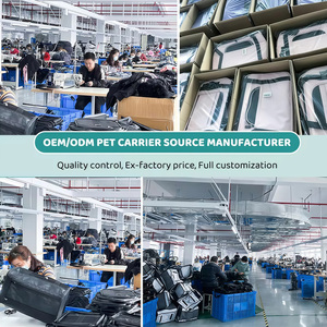 Borsa Trasportino Portatile per Animali Domestici di Piccola Taglia, Traspirante, a Tracolla, da Viaggio, per <span class=keywords><strong>Gatti</strong></span>, Utilizzabile in Auto - Product Image 6