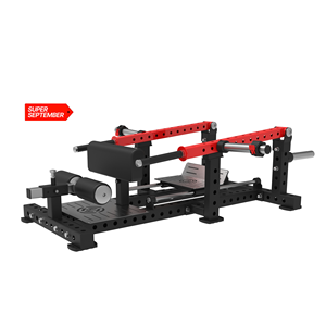 TOPTONS Super September K175 Attrezzatura da Palestra di Alta Qualità per il <span class=keywords><strong>Body</strong></span> Building Vogatore a Doppia Traccia - Product Image 4