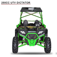 Fangpower Youth Side by Side 4x2 tout-terrain, moto à 4 roues, 250cc, buggy de course, mini quad, 250cc UTV pour enfants